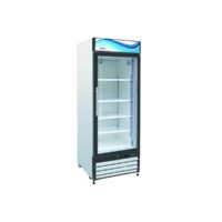 Serv-Ware GF23-HC 27″ One Section Glass Door Freezer Merchandiser in White
